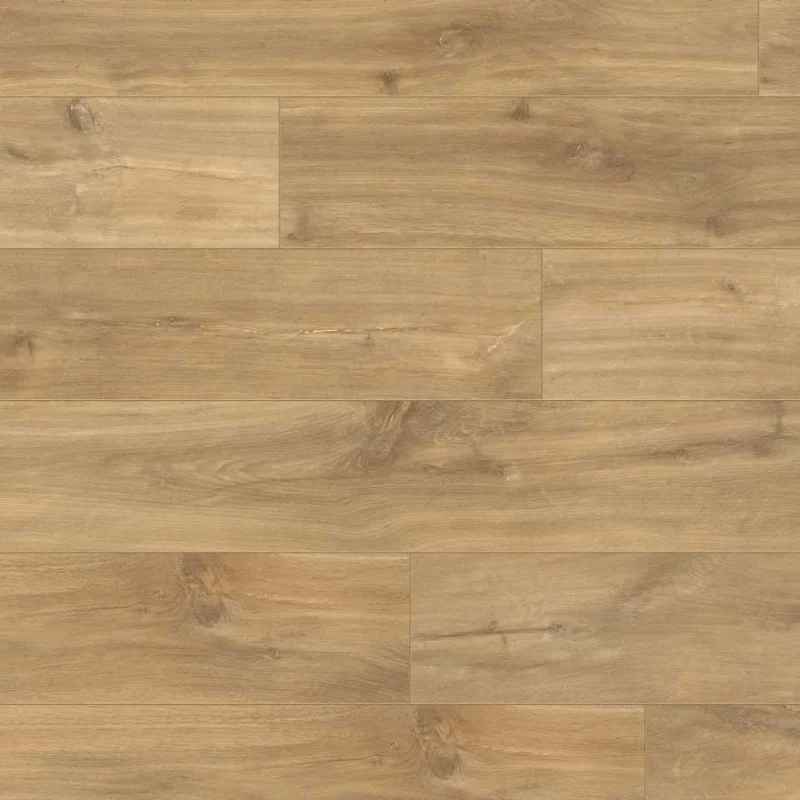 Panele podłogowe Dąb Naturalny Nocny CLP1487 AC4 8 mm