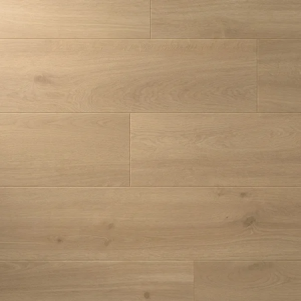 Panele podłogowe Felicita 777378 AC5 8 mm, 400107639