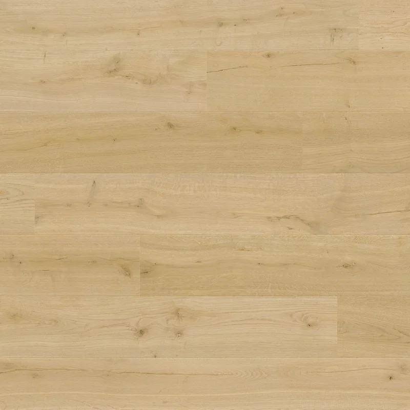 Panele podłogowe Dąb Bawełniany IMU8254 12 mm AC5