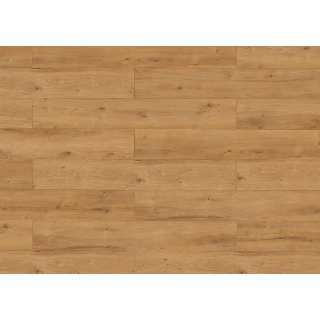 Panele podłogowe Dąb Rustic Honey 68277 AC4 8 mm, Panele podłogowe, Classen laminat, Classen