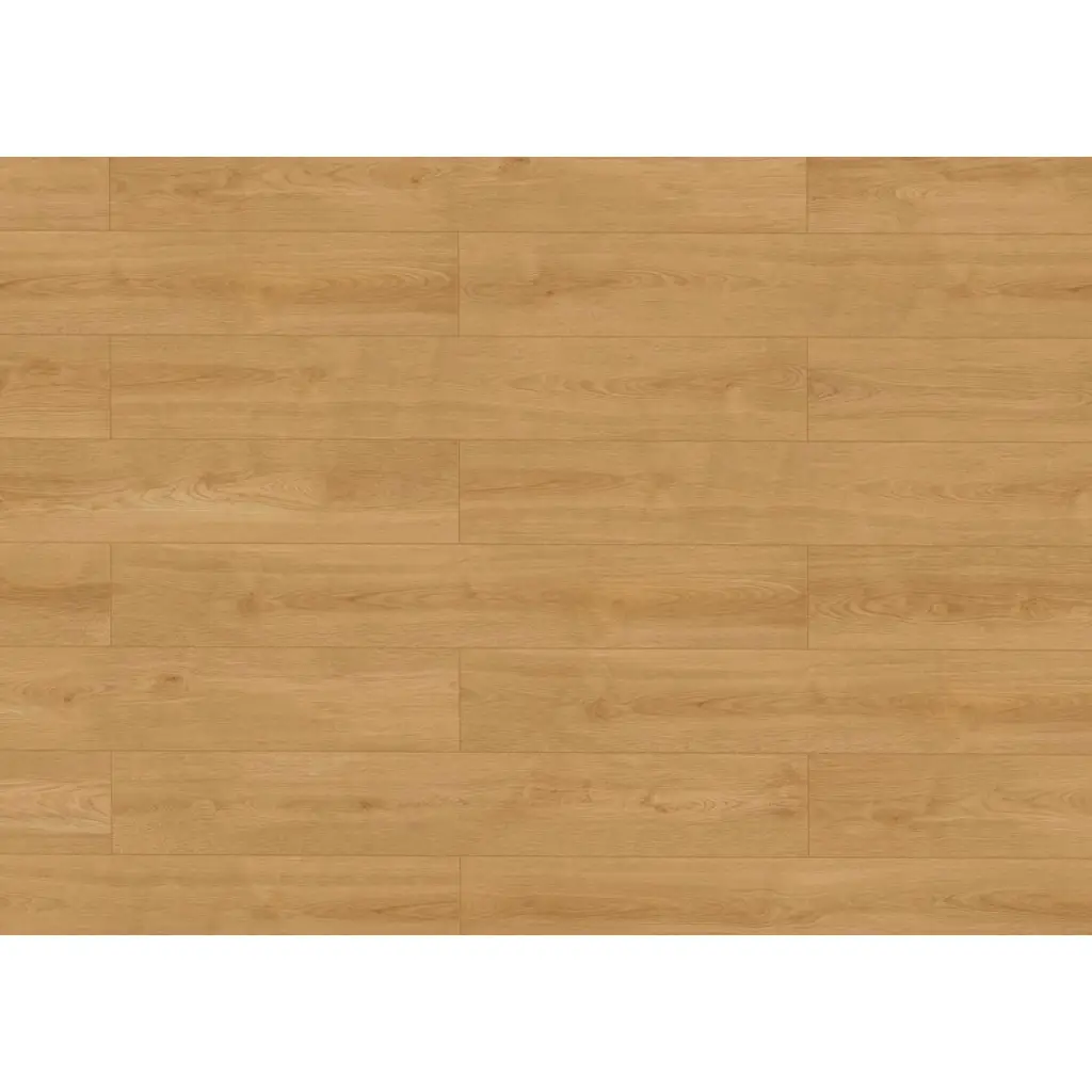 Panele podłogowe Dąb Smooth Honey 68279 AC4 8 mm, Panele podłogowe, Classen laminat, Classen