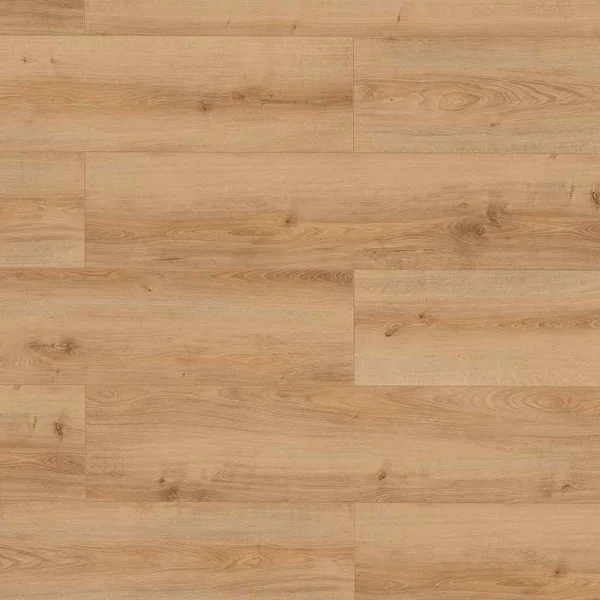 Panele podłogowe Dąb Vilach 62495 Naturalny 8 mm AC5