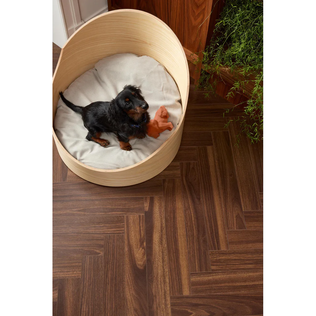 Panele podłogowe Jodełka Wallnut Brown B AC5 8 mm, 62002731, Panele podłogowe, Chateau+, BerryAlloc