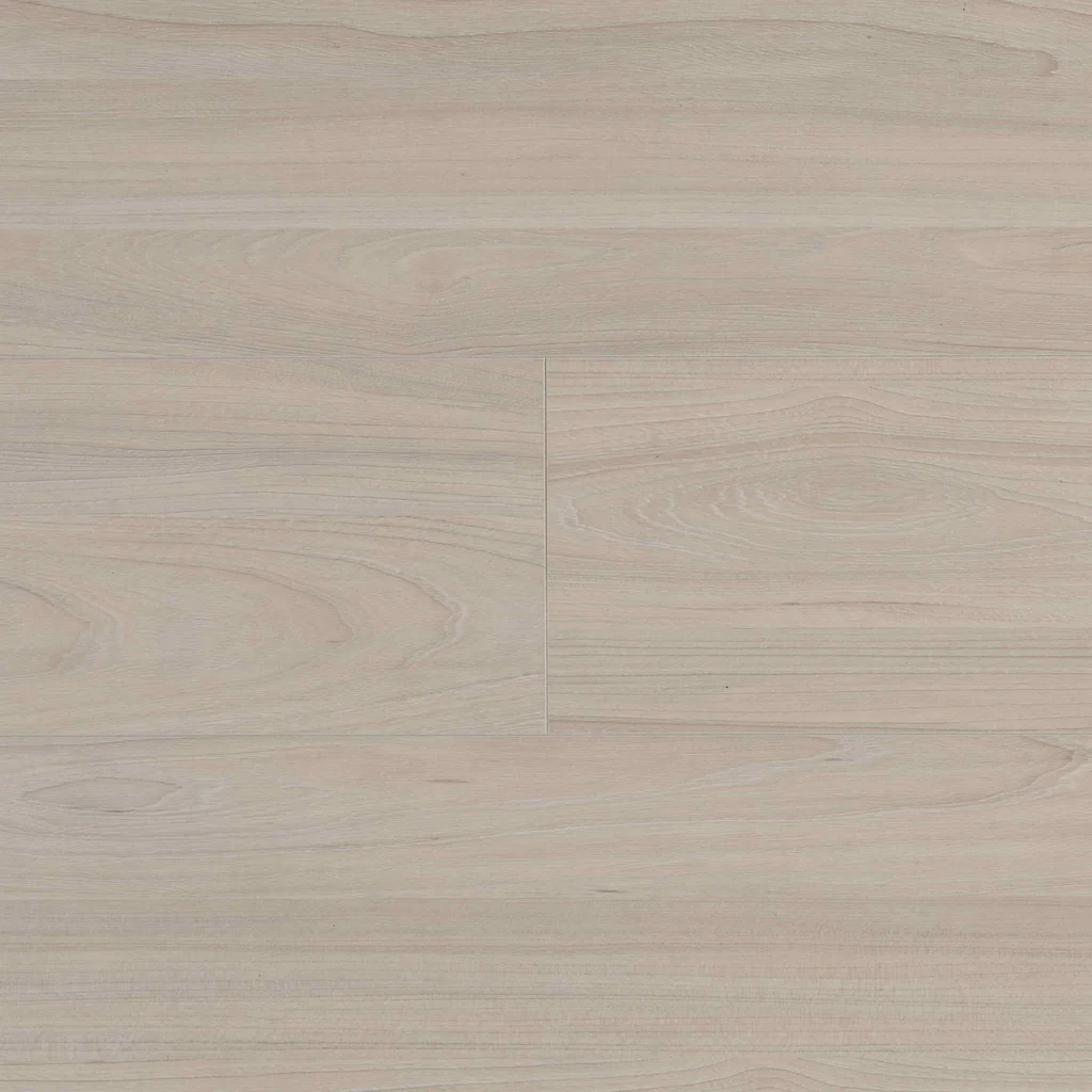 Panele podłogowe Elm Light B7703 AC5 8 mm, 62003064, Panele podłogowe, Ocean 8 V4, BerryAlloc