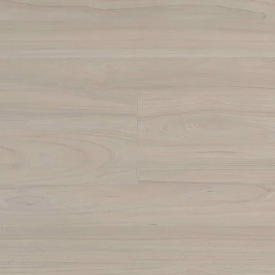 Panele podłogowe Elm Light B7703 AC5 8 mm, 62003064