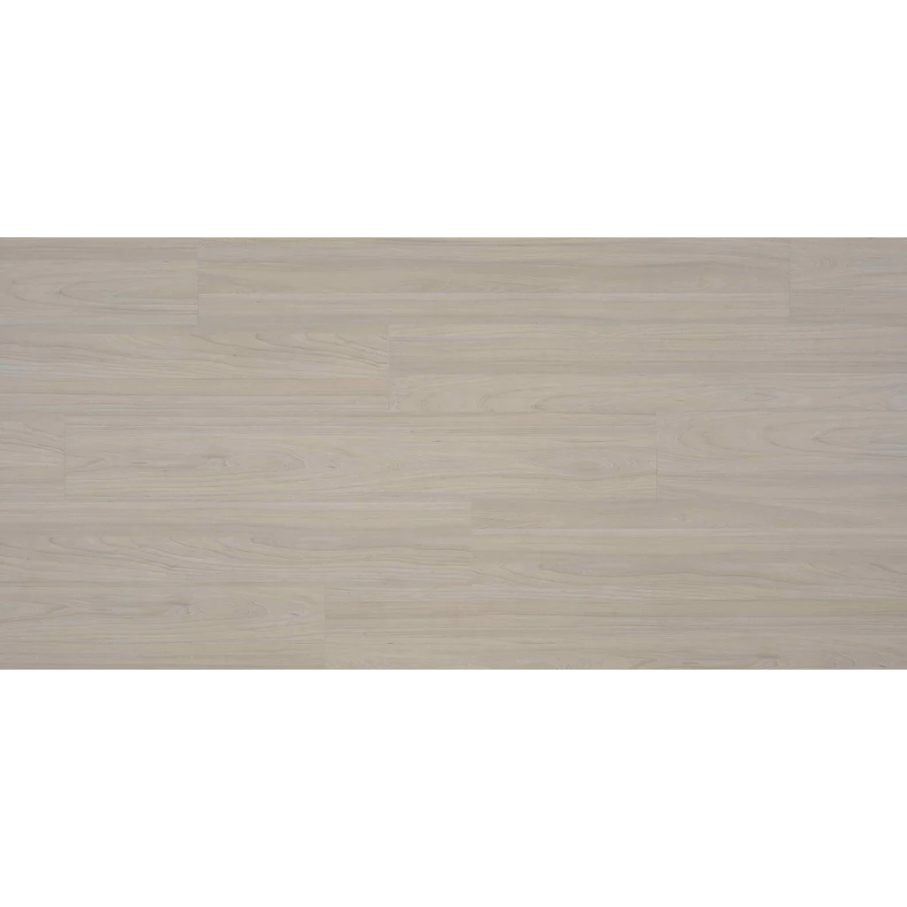 Panele podłogowe Elm Light B7703 AC5 8 mm, 62003064, Panele podłogowe, Ocean 8 V4, BerryAlloc