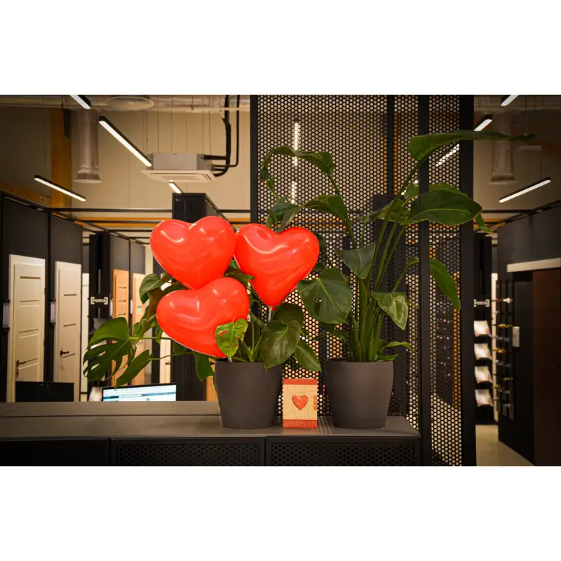 Wejherowo, ul. Graniczna 2 - BEL-POL