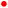 MERARI